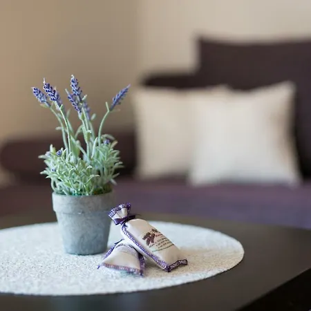 Muciceva Ravan Apartment Jurdani